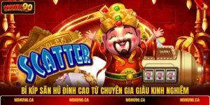 Bí Kíp Săn Hũ Đỉnh Cao Từ Chuyên Gia Giàu Kinh Nghiêm